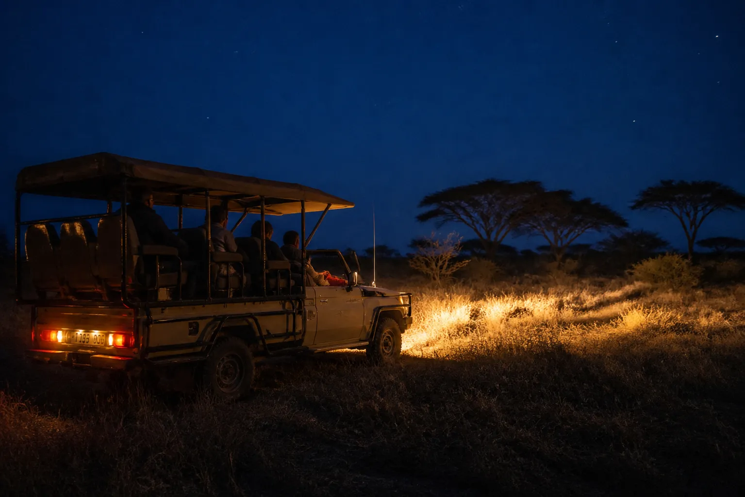 Night Game Drive