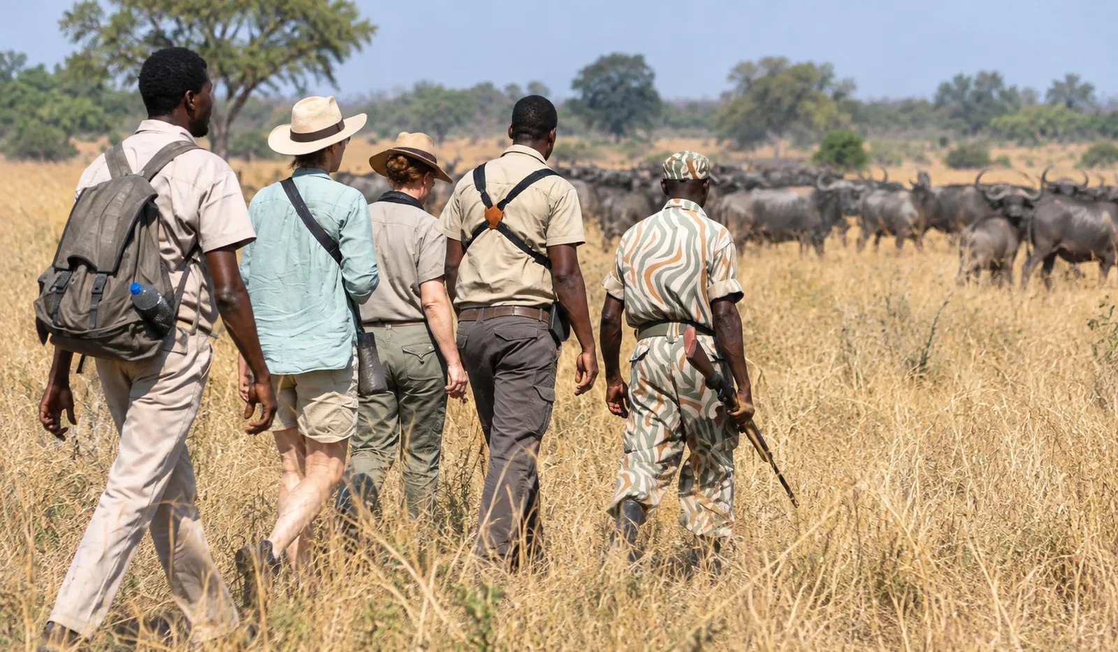 Walking Safari