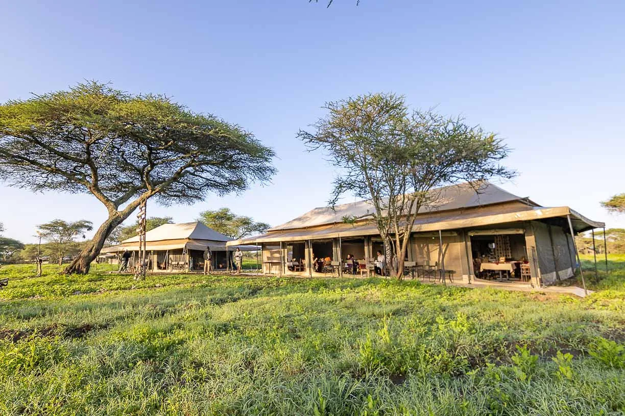 Tanzania Bush Camps - North Mara Kogatende, migration camp on the plains
