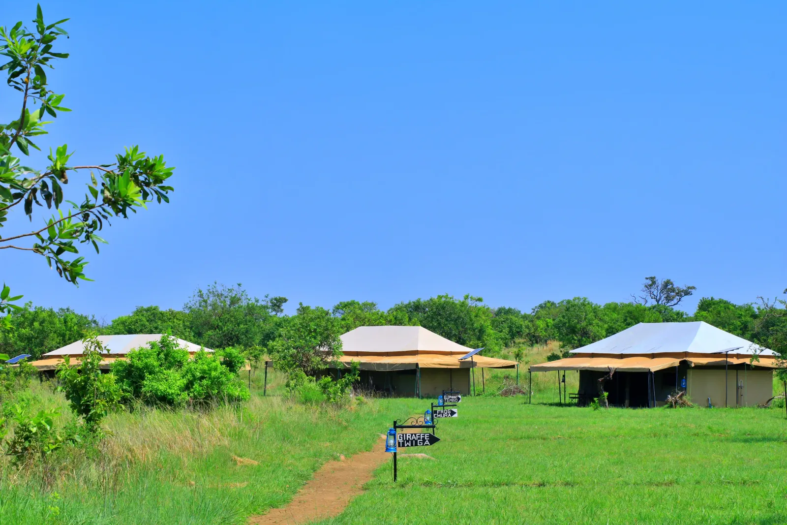 Tanzania Bush Camps - North Mara Kogatende