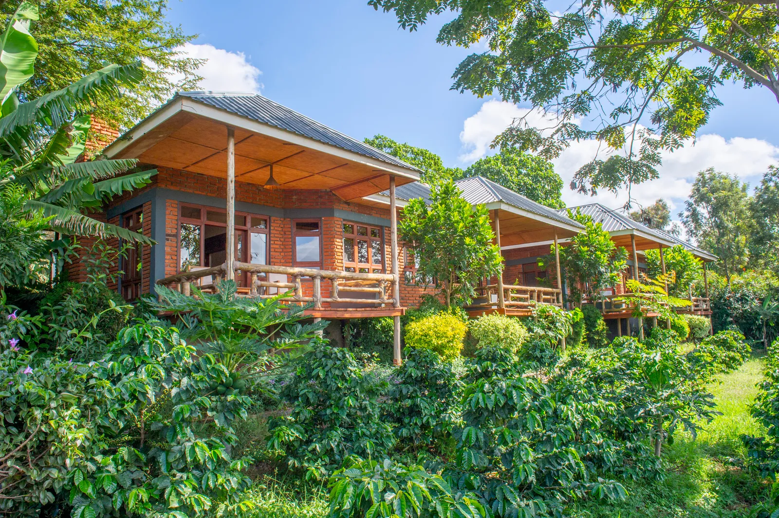 BAGHAYO GARDEN SUITES, garden suite