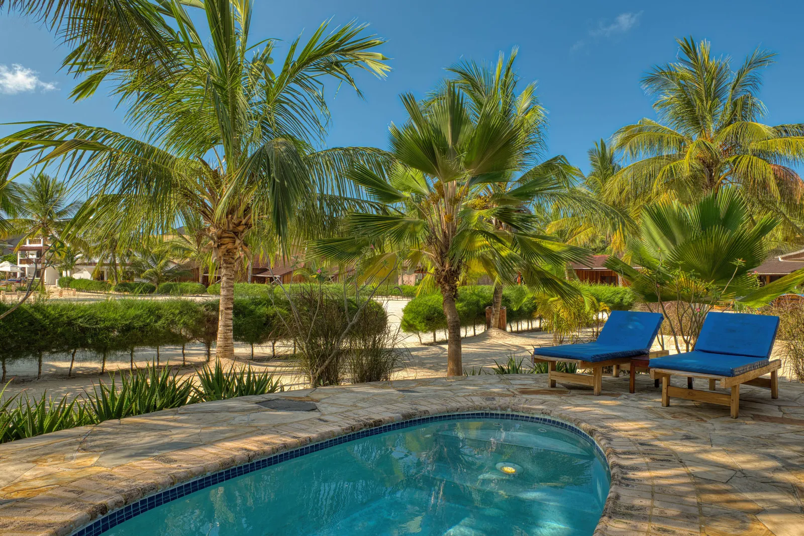 Kedwa Rocks, pool garden with palms