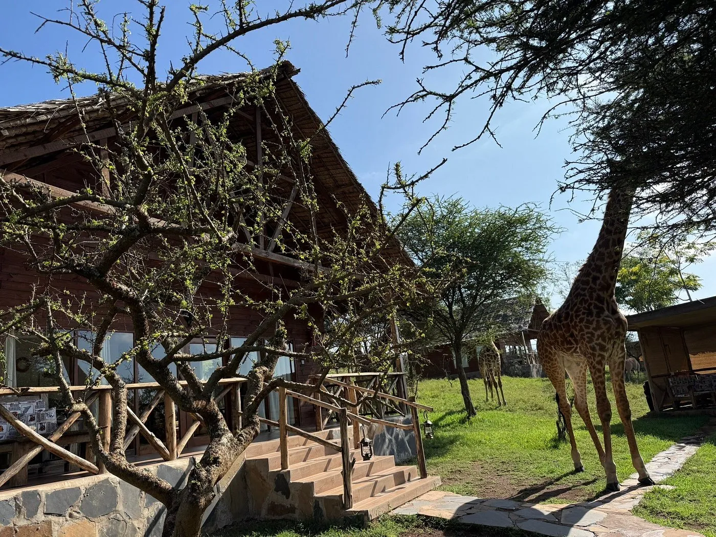 Serval Wildlife Eco Resort, naturals