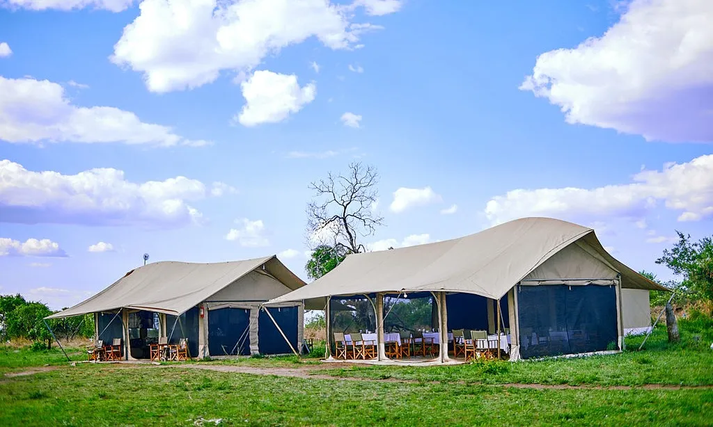 PAMOJA MIGRATION CAMP, bee eater
