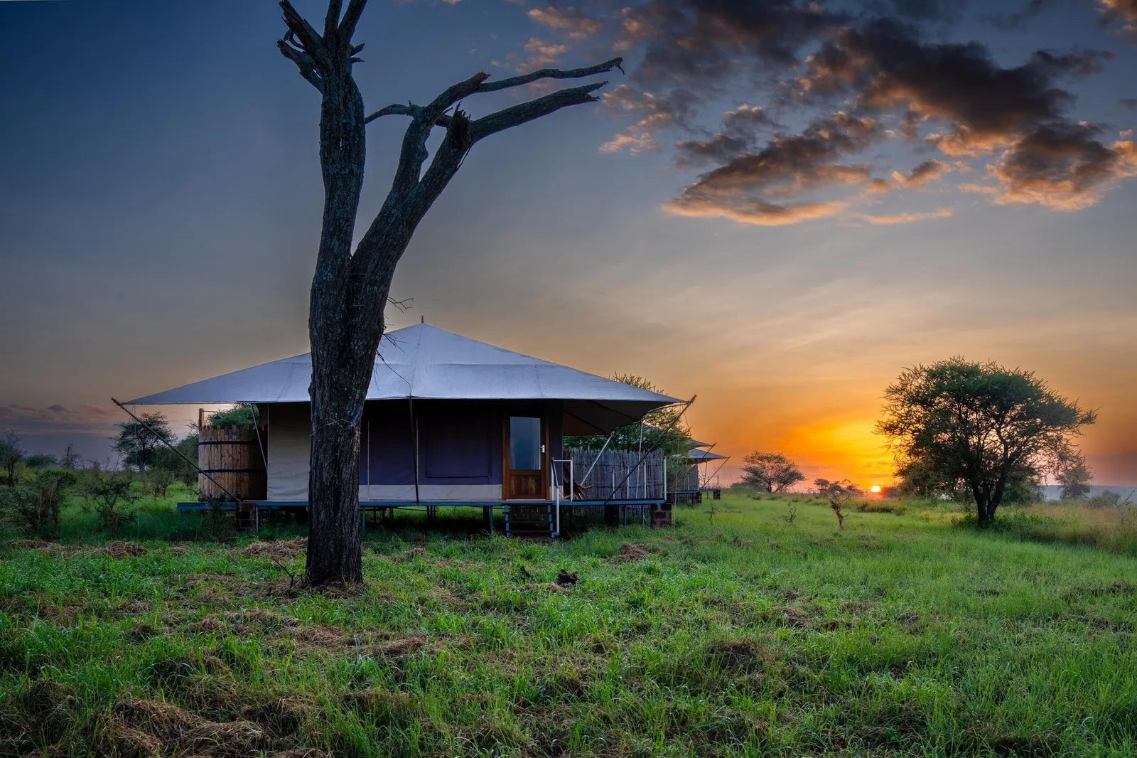 Arukore Simba Camp
