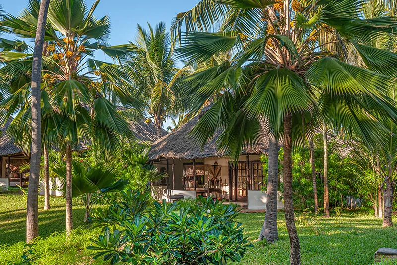 The Zanzibar Collection