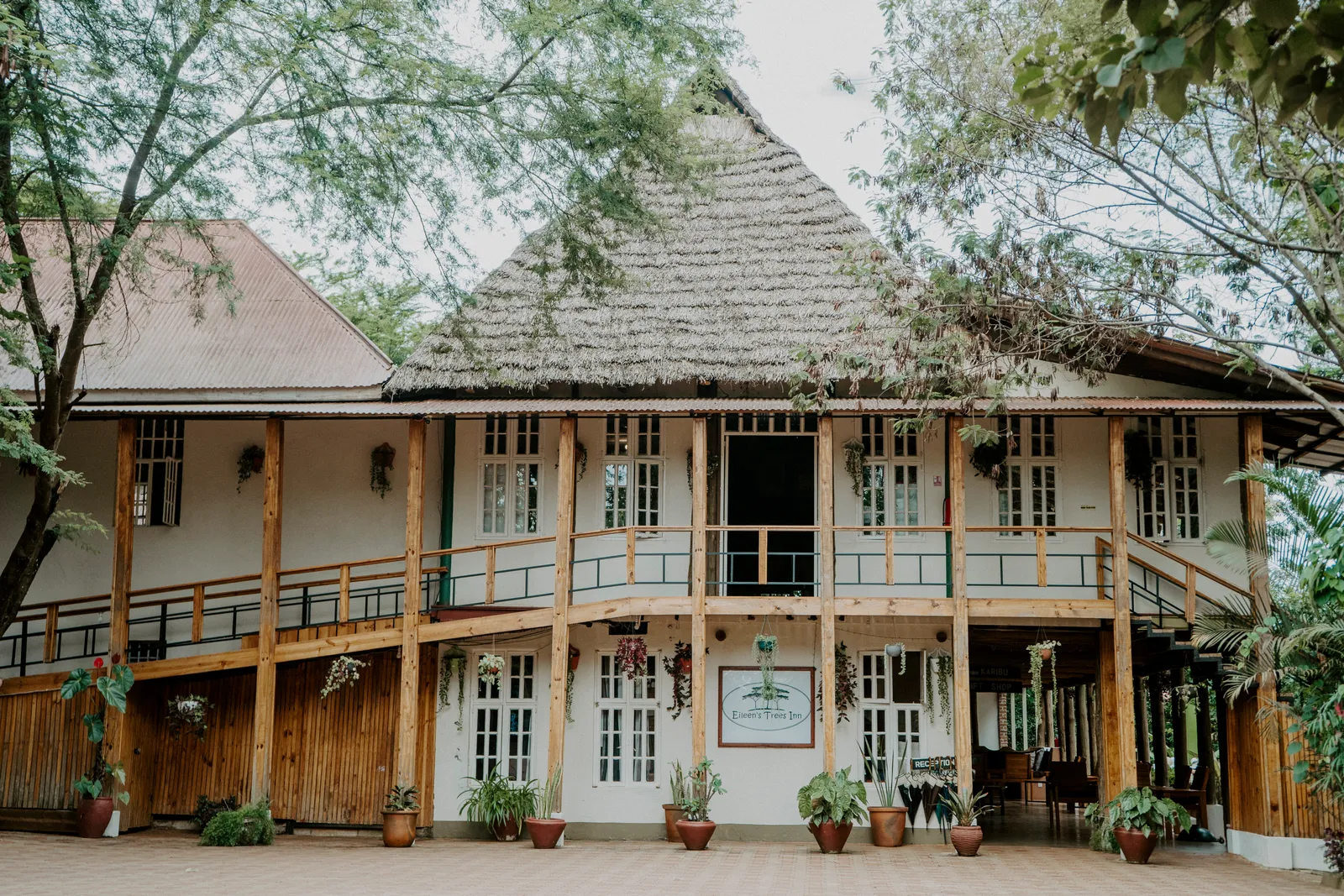 Eileen's Trees Inn, main house