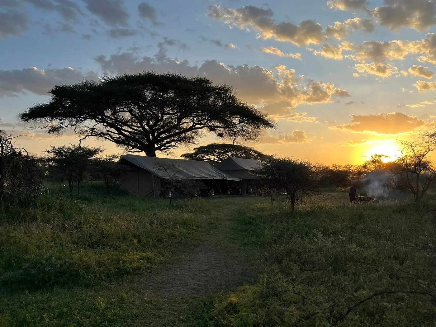Serengeti Savanah Camp - Northern Serengeti Mara River Crossing, camps