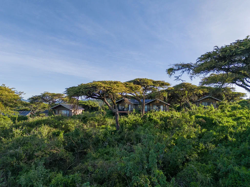 Lion's Paw by Karibu Camps & Lodges, cottages in the forest