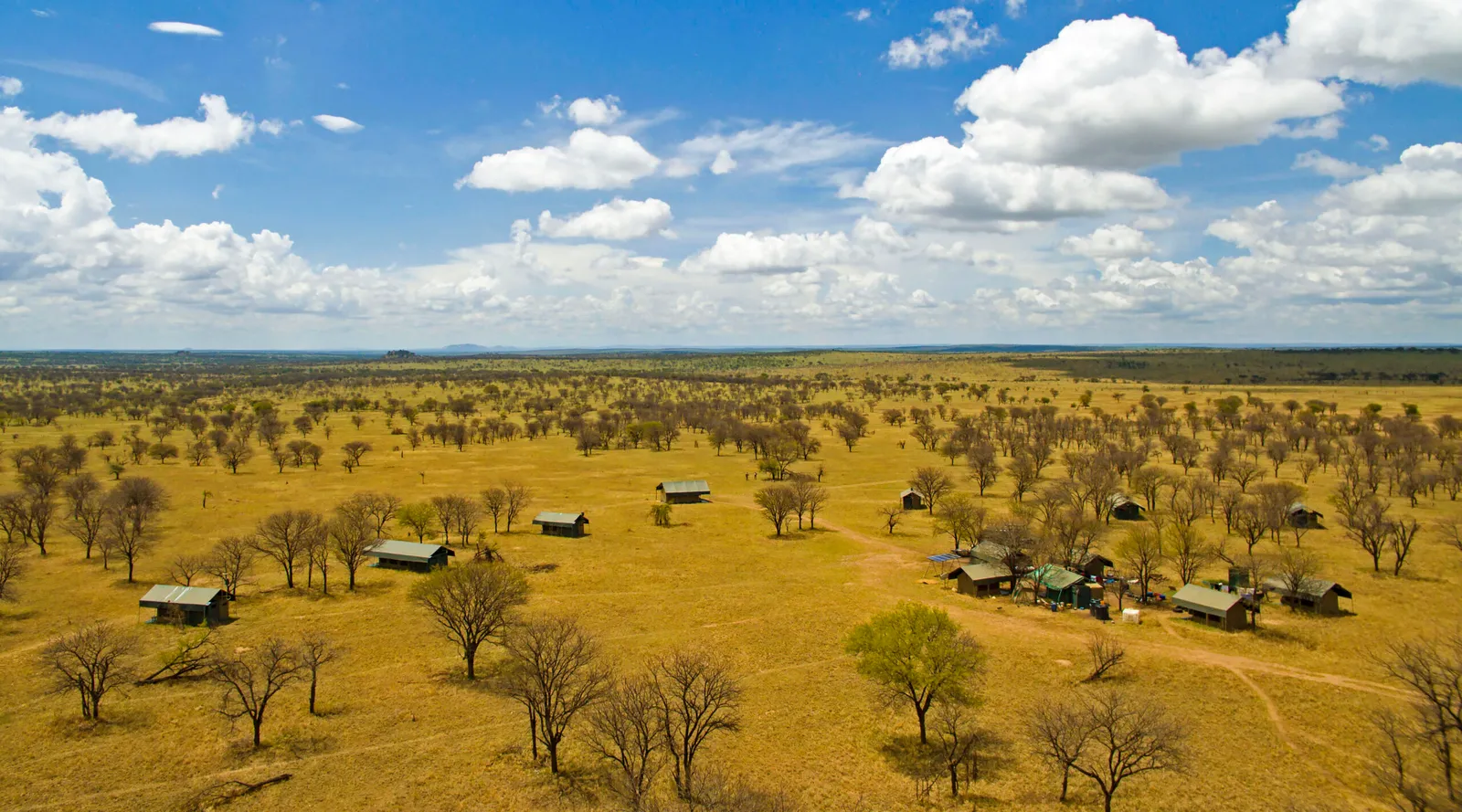 Serengeti View Camp
