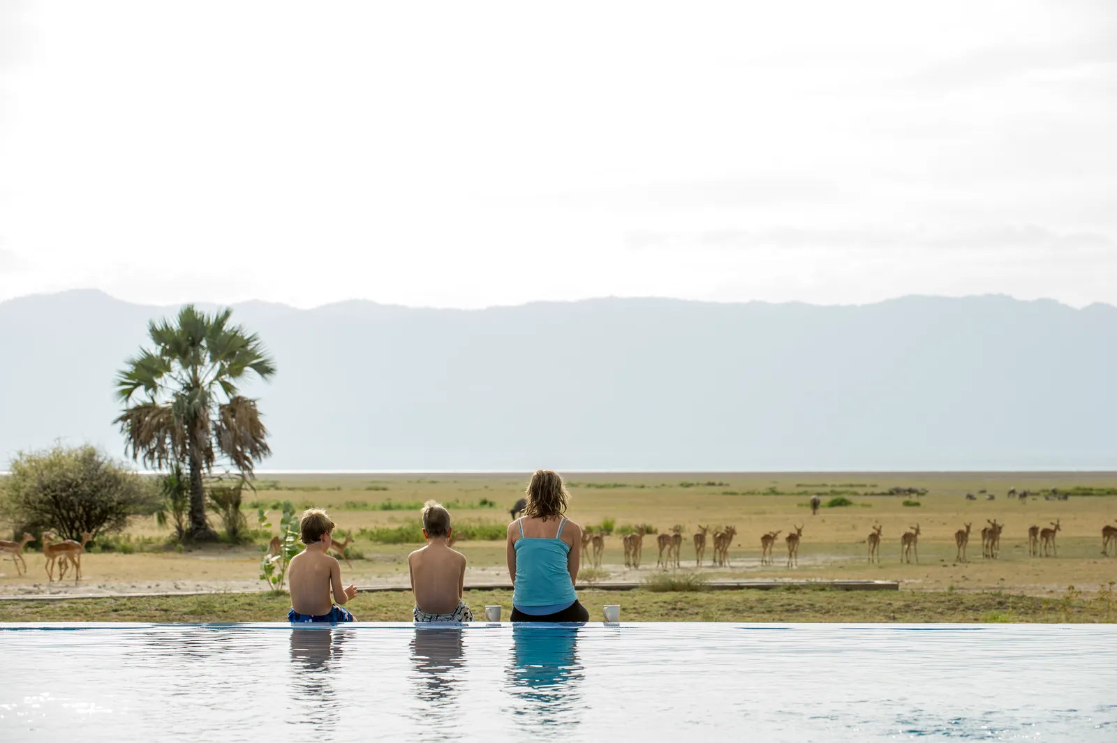 Maromboi Tented Lodge, infinity pool with view