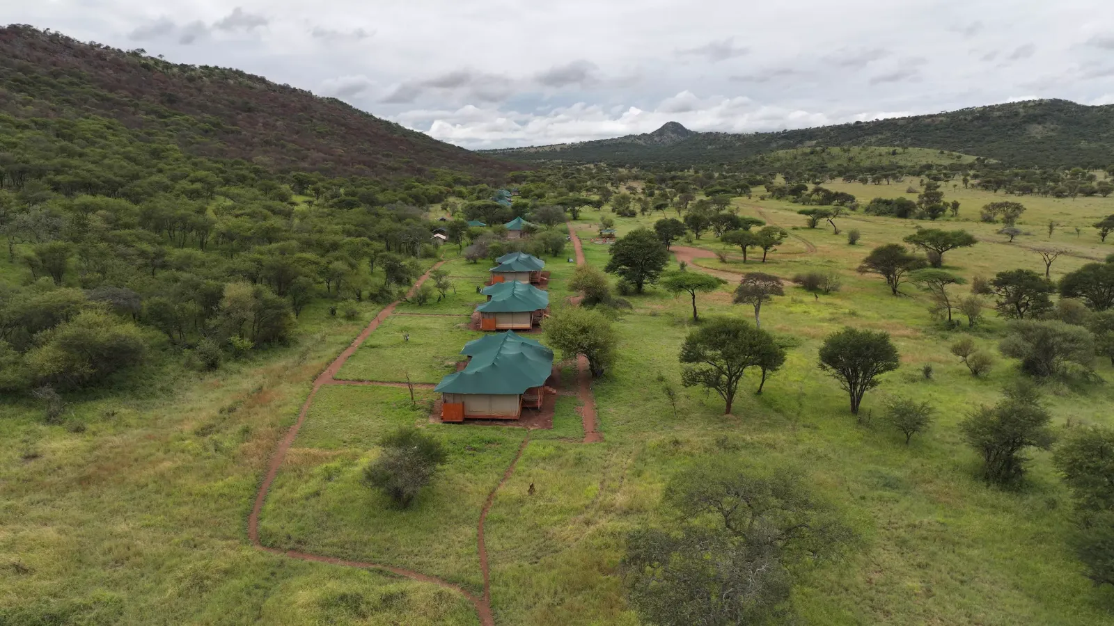 Serengeti Safari haven, serengeti safari haven
