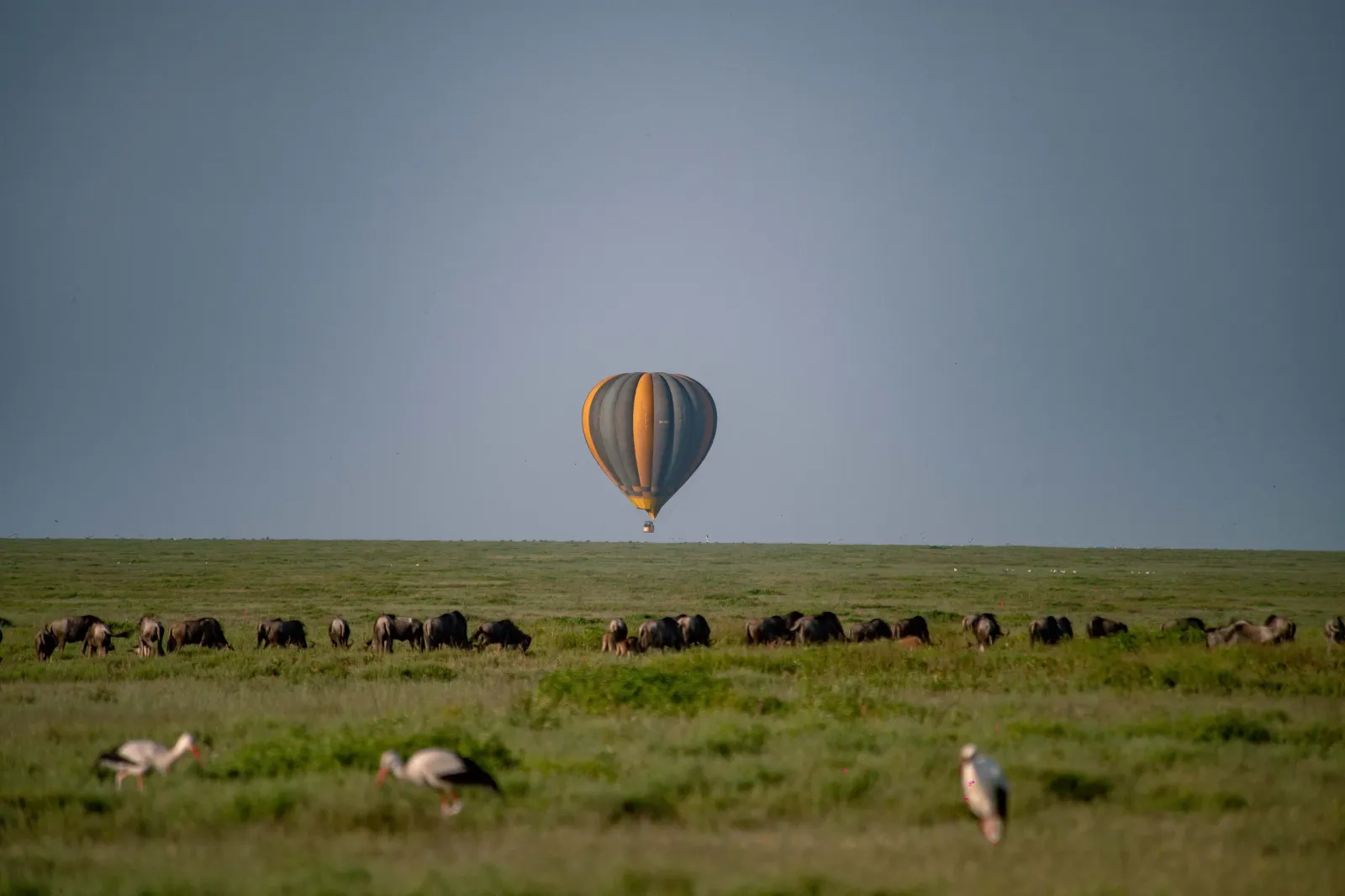 Woodlands by Karibu Camps & Lodges, WC Hot Air Ballon 2