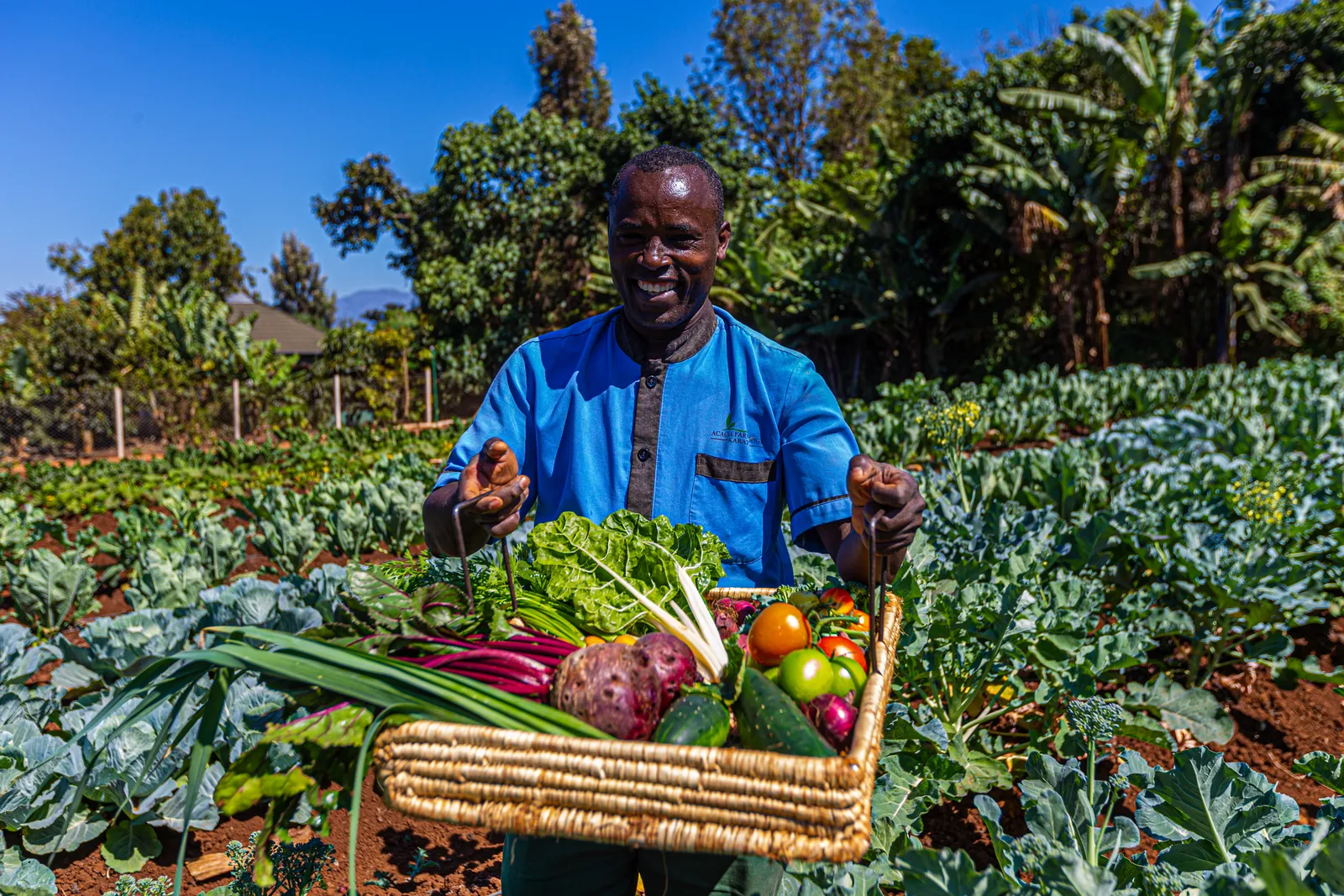 ACACIA FARM LODGE - KARATU, fresh produce from the farm