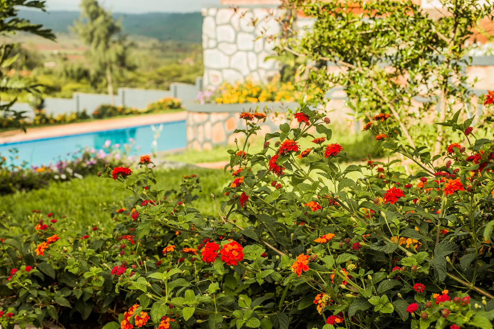 Kankari Lodge, garden pool