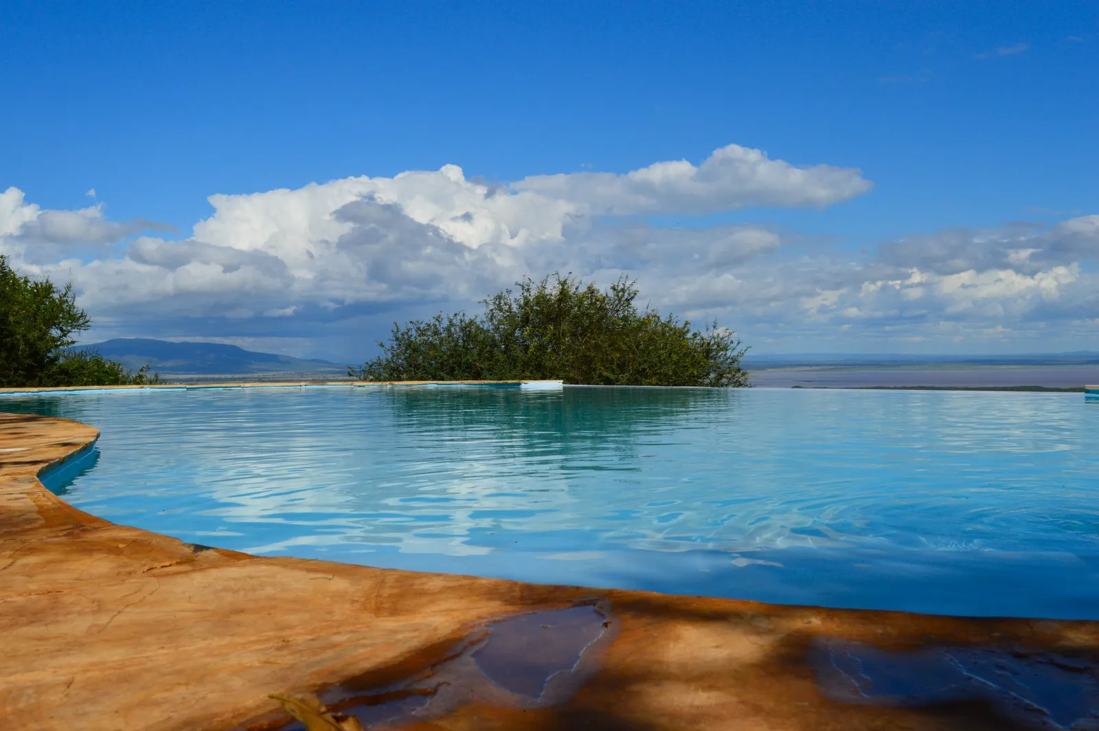 Migombani Camp, beautiful infinity pool migombani campsite