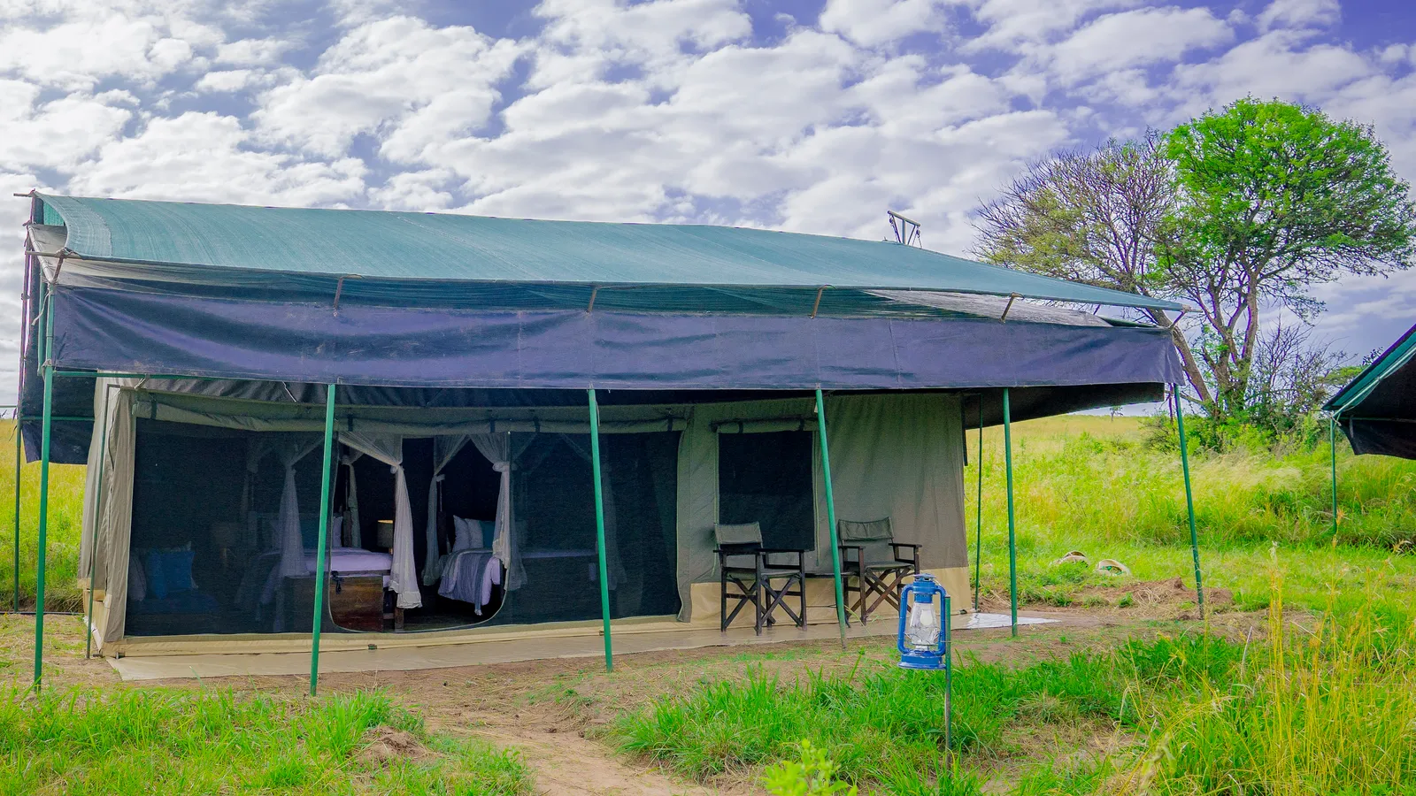 Ang'ata Migration Camp-Ndutu, guest tent