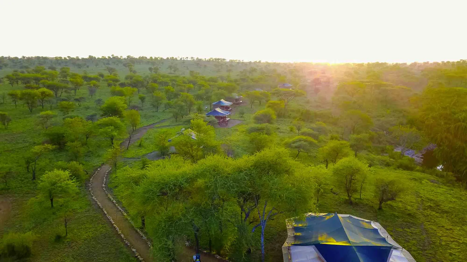 Embalakai Serengeti Camp, camp from above