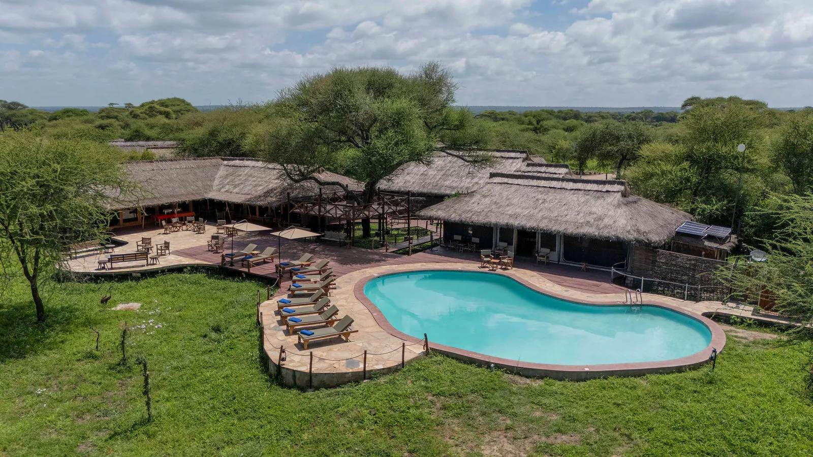 Tarangire Simba Tented Lodge