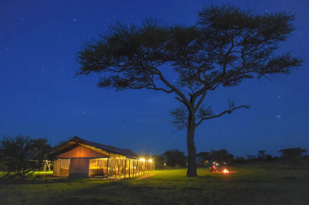 Beleuchtetes Zelt unter einer Akazie bei Nacht, Thorn Tree Camp