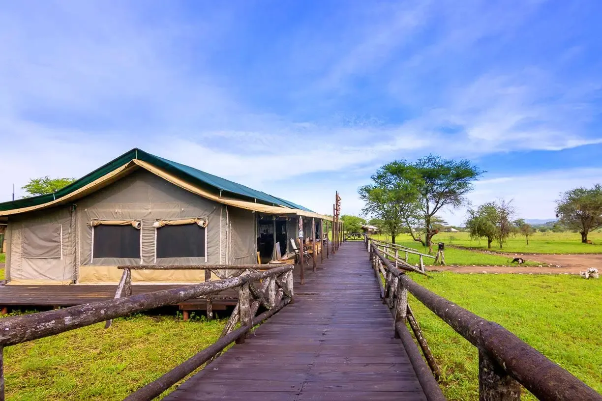 TANZANIA BUSH CAMPS