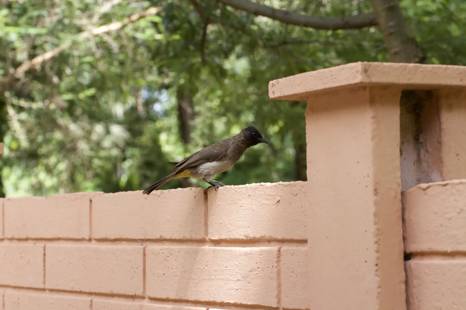Arusha Outpost Lodge