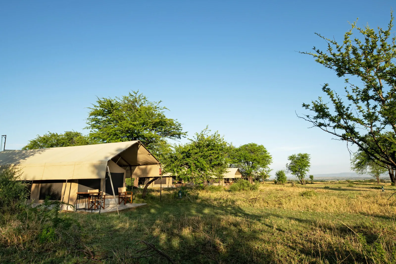 Serengeti Kati Kati Tented Camp