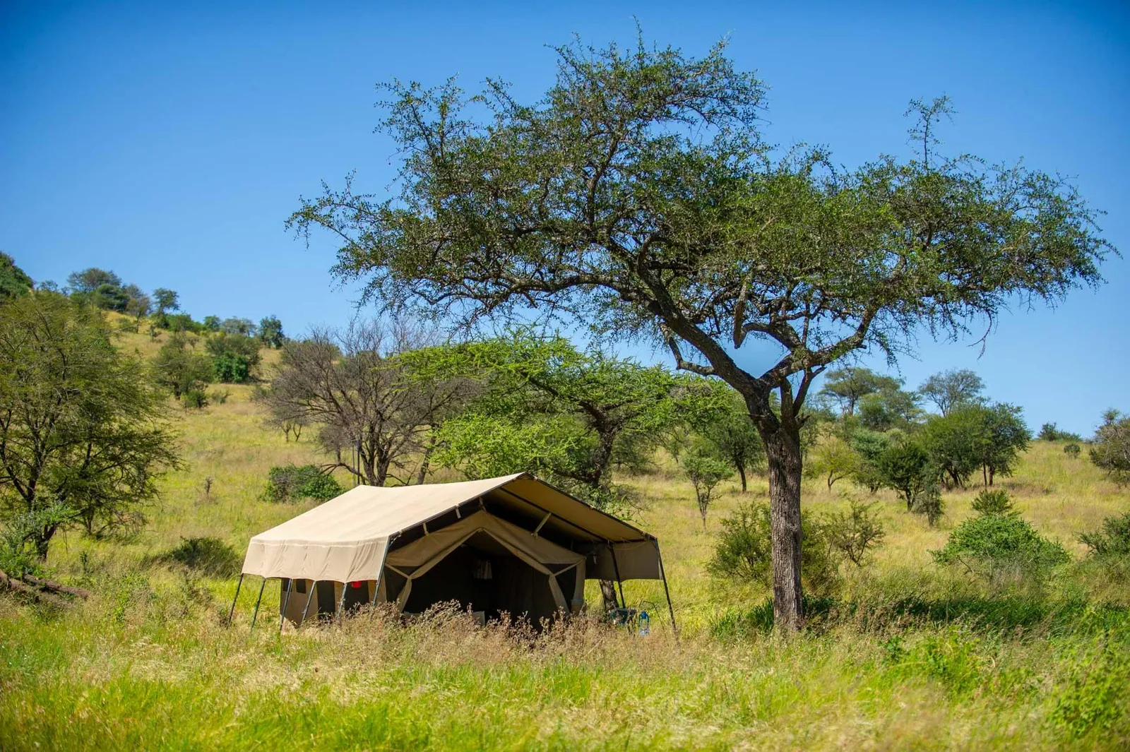 Serengeti Kati Kati Tented Camp