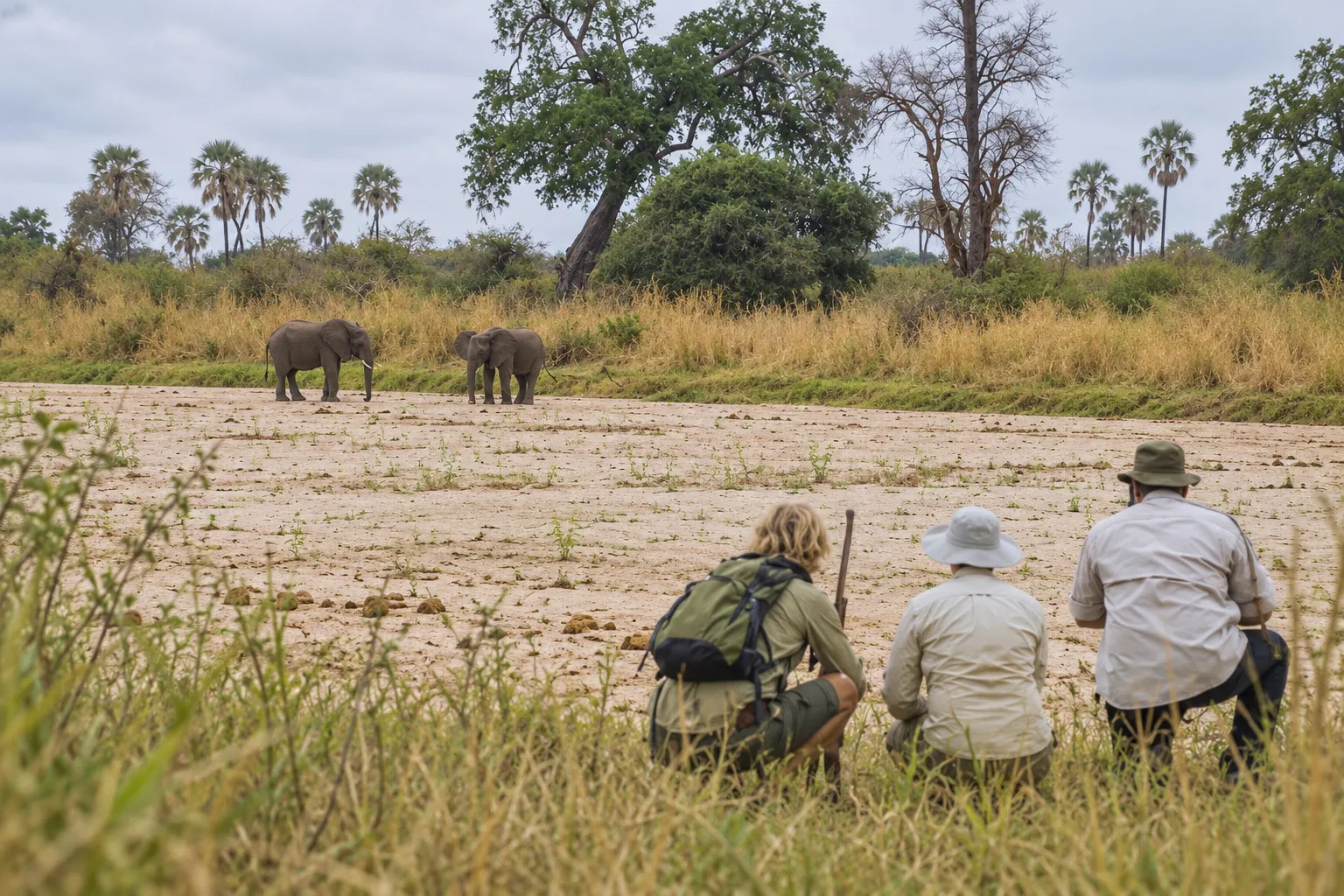Fußsafari im Tarangire-Nationalpark: Wanderer beobachten Elefanten am trockenen Flussbett