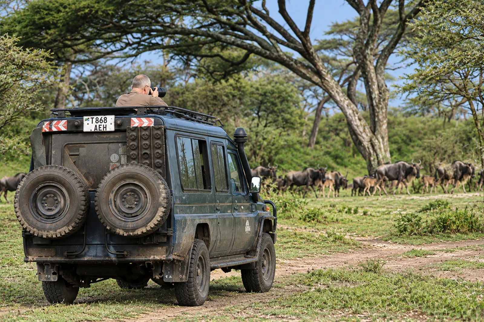 Safarifahrzeug vor Gnuherden in der Ndutu-Region