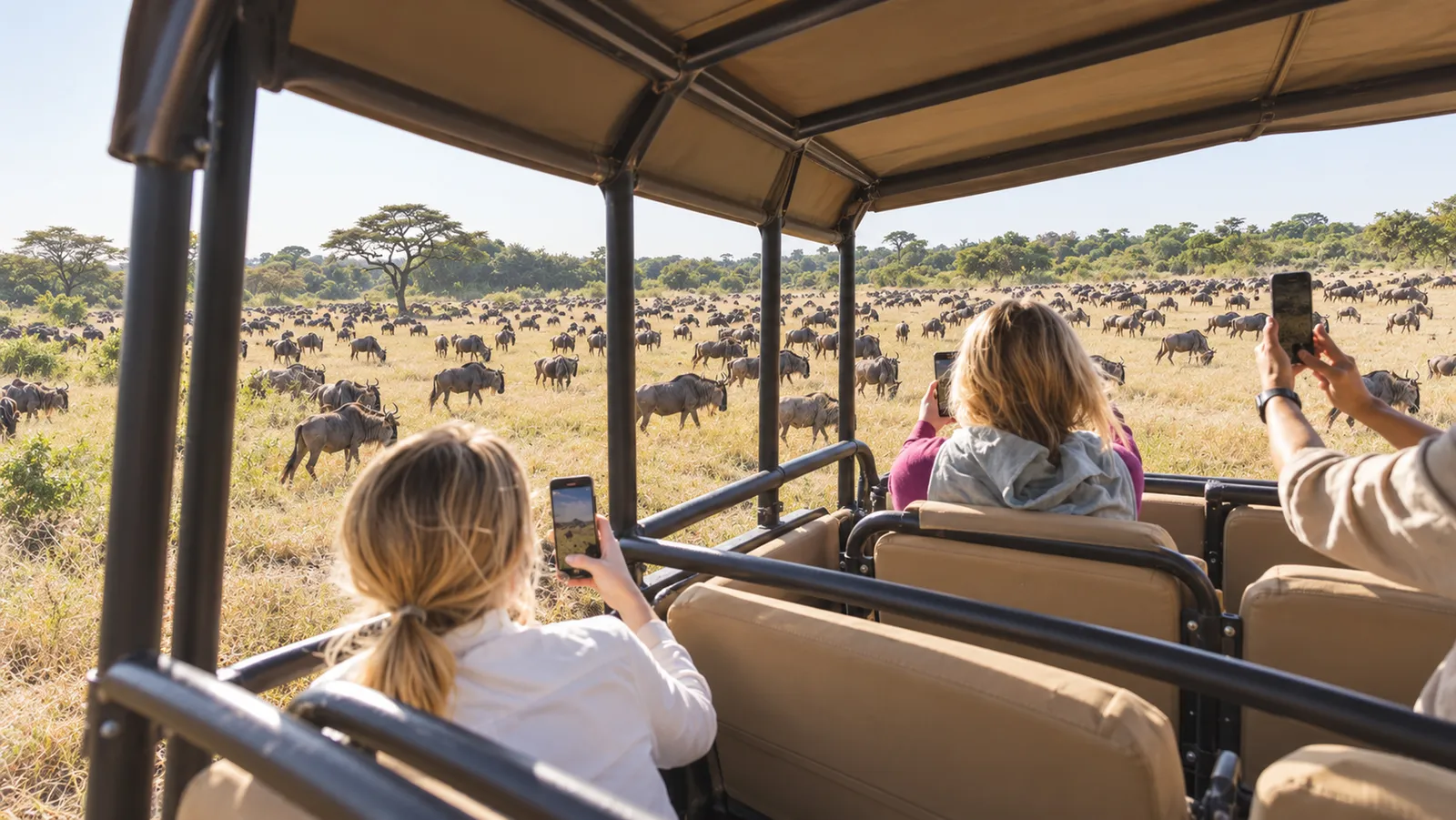 Gäste im offenen Safarifahrzeug fotografieren Gnuherden in der Serengeti